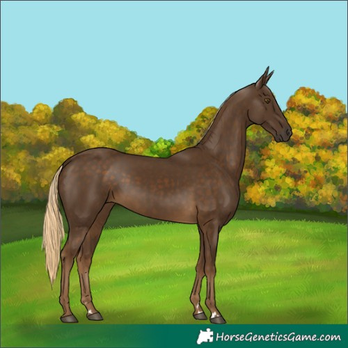 Horse Color:Chocolate Palomino 