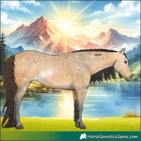 Horse Color:Buckskin 