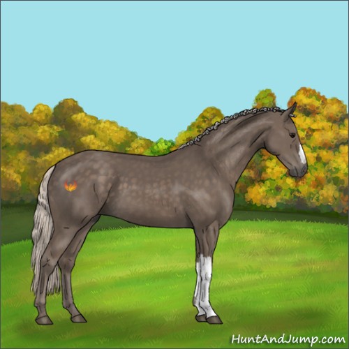 Horse Color:Silver Black 