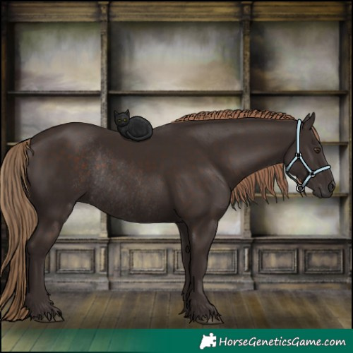 Horse Color:Liver Chestnut Rabicano 