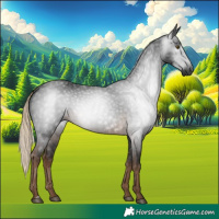 Horse Color:Gray Chocolate Palomino 