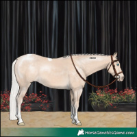 Horse Color:Silver Perlino Tobiano 