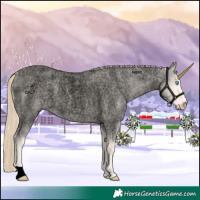 Horse Color:Void Perlino Roan Dun 