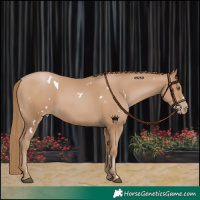 Horse Color:White Spotted Black Pearl 