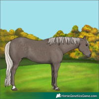 Horse Color:Silver Black 
