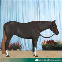 Horse Color:Liver Chestnut Tobiano 