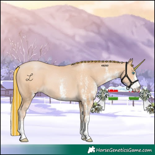Horse Color:Painted White Spotted Silver Buckskin Pearl 