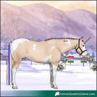 Horse Color:Painted Silver Buckskin Pearl Splash Tobiano 