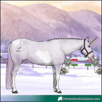 Horse Color:Watercolor Liver Chestnut Tobiano Appaloosa 