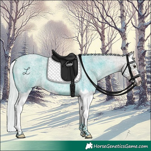 Horse Color:Watercolor Silver Buckskin Roan Splash 