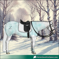 Horse Color:Watercolor Silver Buckskin Roan Splash 
