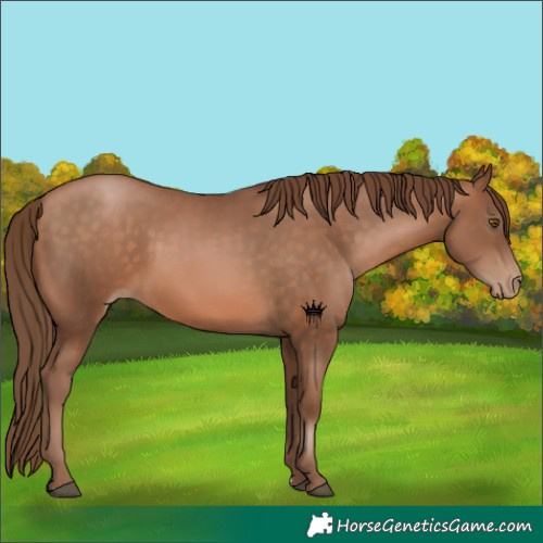 Horse Color:Brown Pearl 