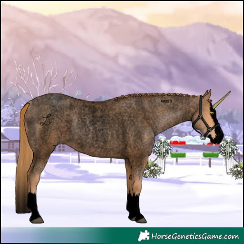 Horse Color:Void Bay Roan Pearl Splash 