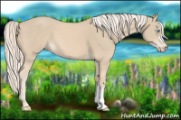 Horse Color:Cremello 
