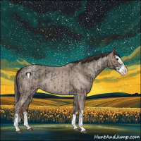 Horse Color:Blue Roan Sabino Splash  and Classic Champagne Roan Sabino Splash 