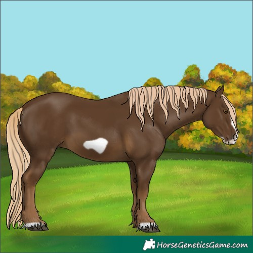 Horse Color:Chocolate Palomino Frame 