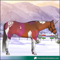 Horse Color:Bay Tobiano 