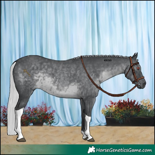 Horse Color:Silver Black Chinchilla Tobiano