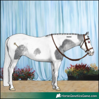 Horse Color:Silver Brown Chinchilla Splash Tobiano 