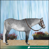 Horse Color:Silver Bay Chinchilla 