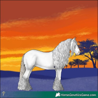 Horse Color:White Spotted Chocolate Palomino Dun Mushroom Blanket Rabicano 