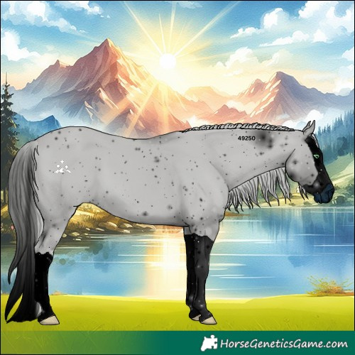 Horse Color:ERROR: UNKNOWN ANOMALY