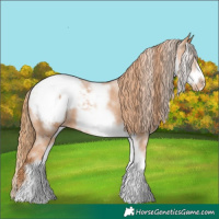 Horse Color:White Spotted Chestnut Frame Snowcap 