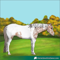 Horse Color:Bay Tobiano Snowcap 