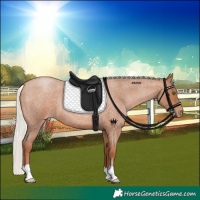 Horse Color:Silver Brown Roan Pearl 