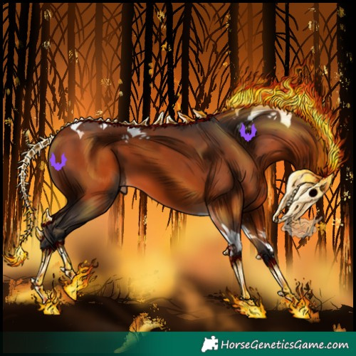 Horse Color:Bay Tobiano 