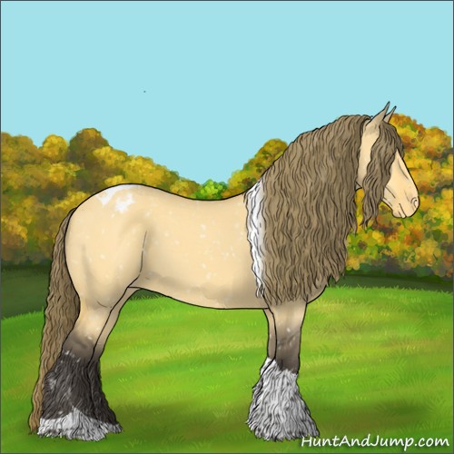 Horse Color:Buckskin Dun Tobiano Appaloosa 