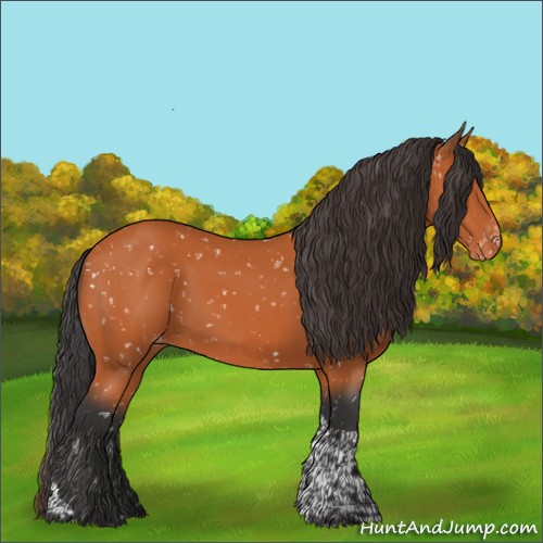 Horse Color:Bay Tobiano Snowflake Varnish