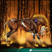 Horse Color:Bay Tobiano 