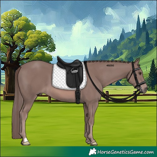 Horse Color:Platinum Chestnut 