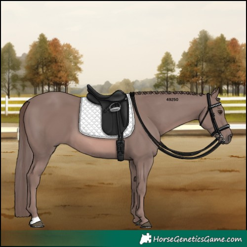 Horse Color:Platinum Chestnut