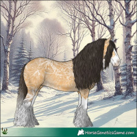 Horse Color:Buckskin Ice Splash 