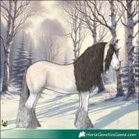 Horse Color:Buckskin Ice Splash 