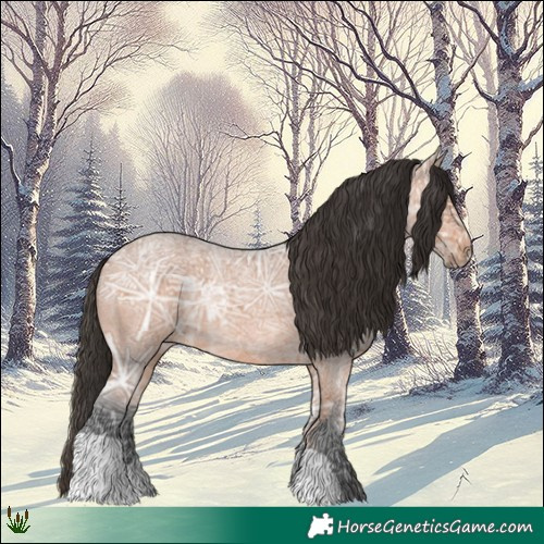 Horse Color:Bay Ice Roan 