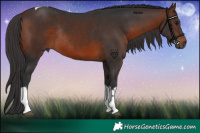 Horse Color:Brown Tobiano Rabicano