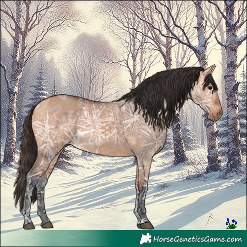 Horse Color:Bay Ice Dun 