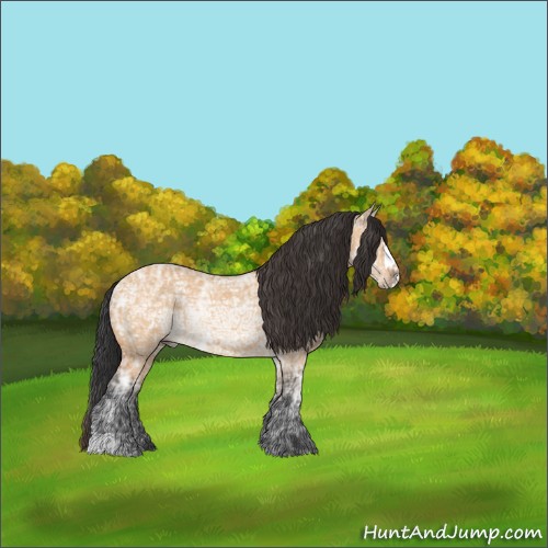 Horse Color:Bay Ice Dun 