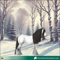 Horse Color:Brown Ice Roan Dun Frame 