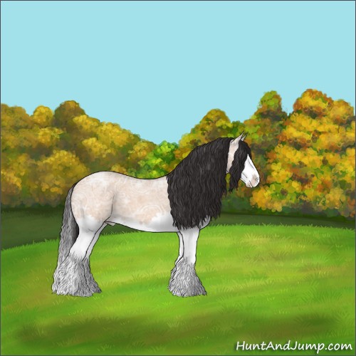 Horse Color:Bay Ice Roan Dun Splash 