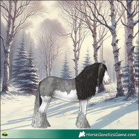 Horse Color:Midnight Brown Ice Roan Dun Splash
