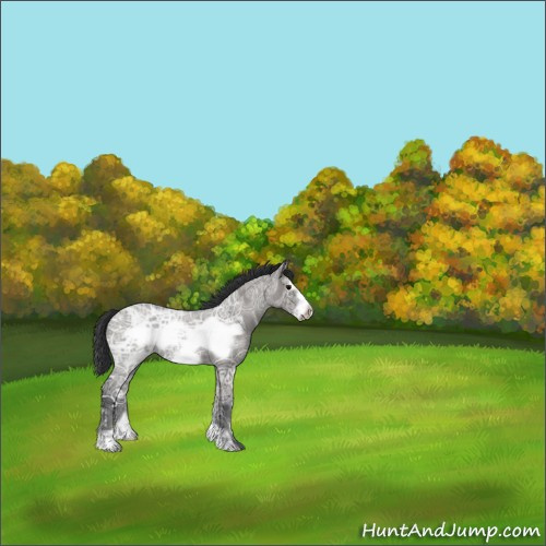 Horse Color:Grullo Ice Roan Frame 