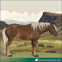 Horse Color:Chocolate Palomino