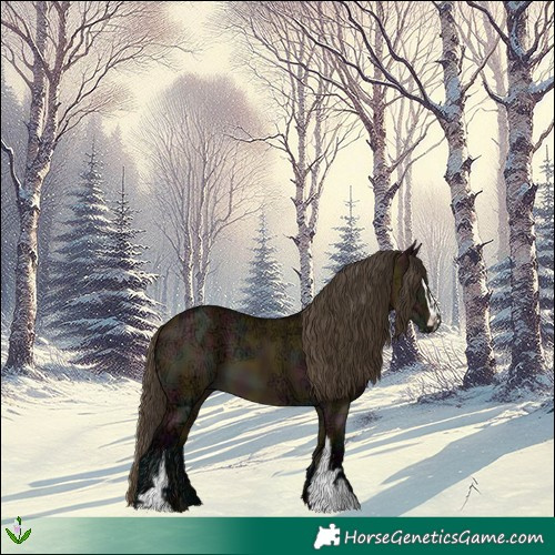 Horse Color:Midnight Buckskin Ice Dun Sabino 