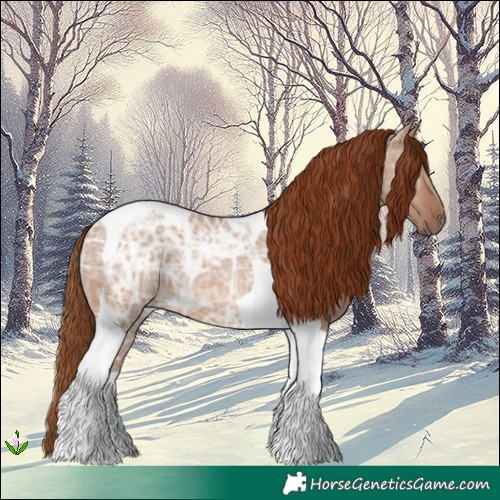 Horse Color:Red Dun Ice Tobiano 