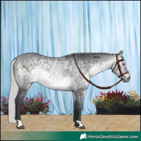 Horse Color:Silver Bay Chinchilla 