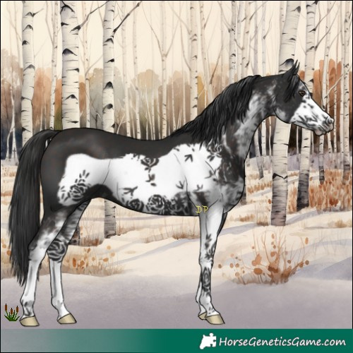 Horse Color:White Spotted Liver Chestnut Frame 